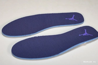 J Sky 1 Low Jordan Purple 0809